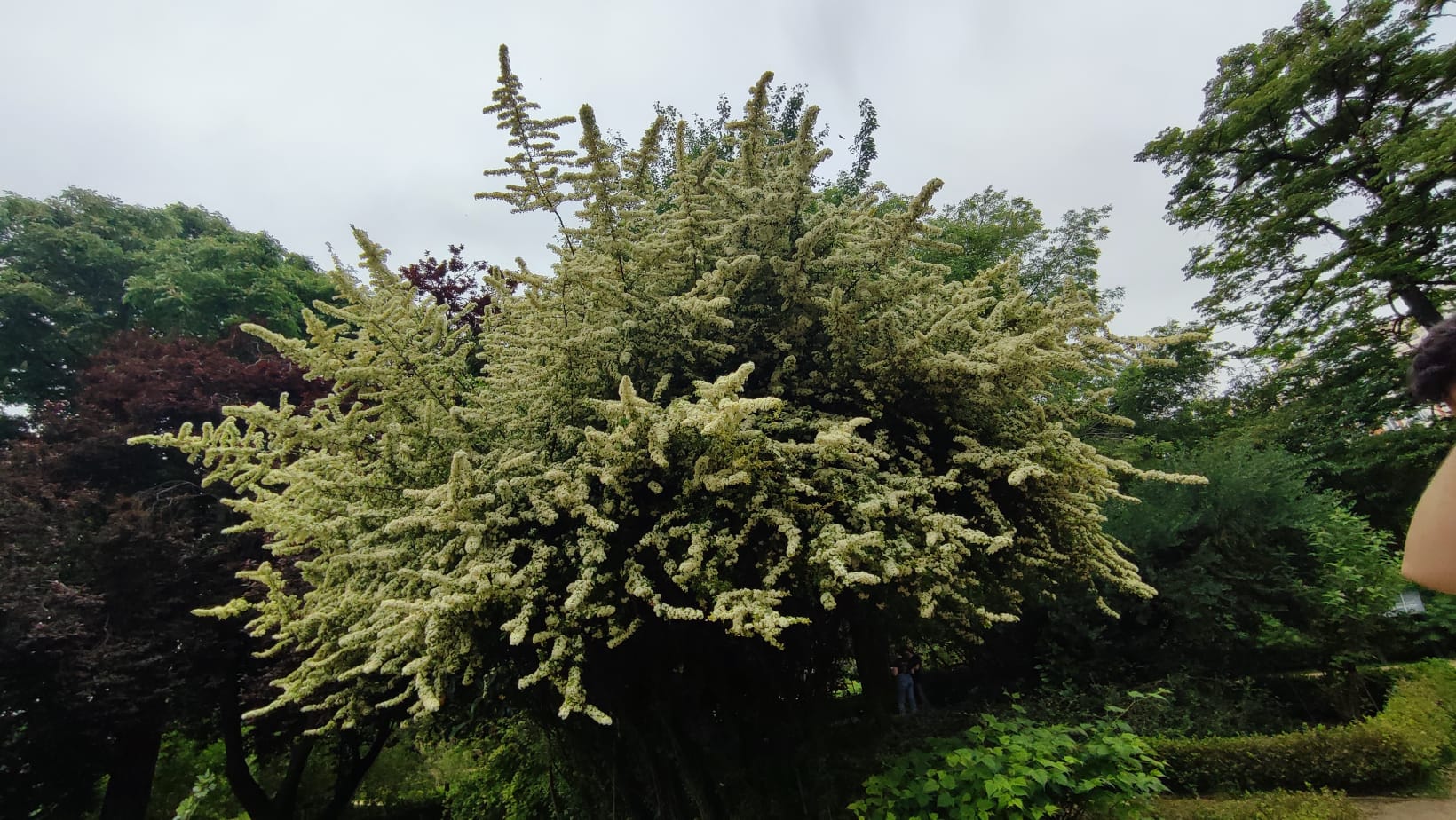 IMG-20230430-WA0136